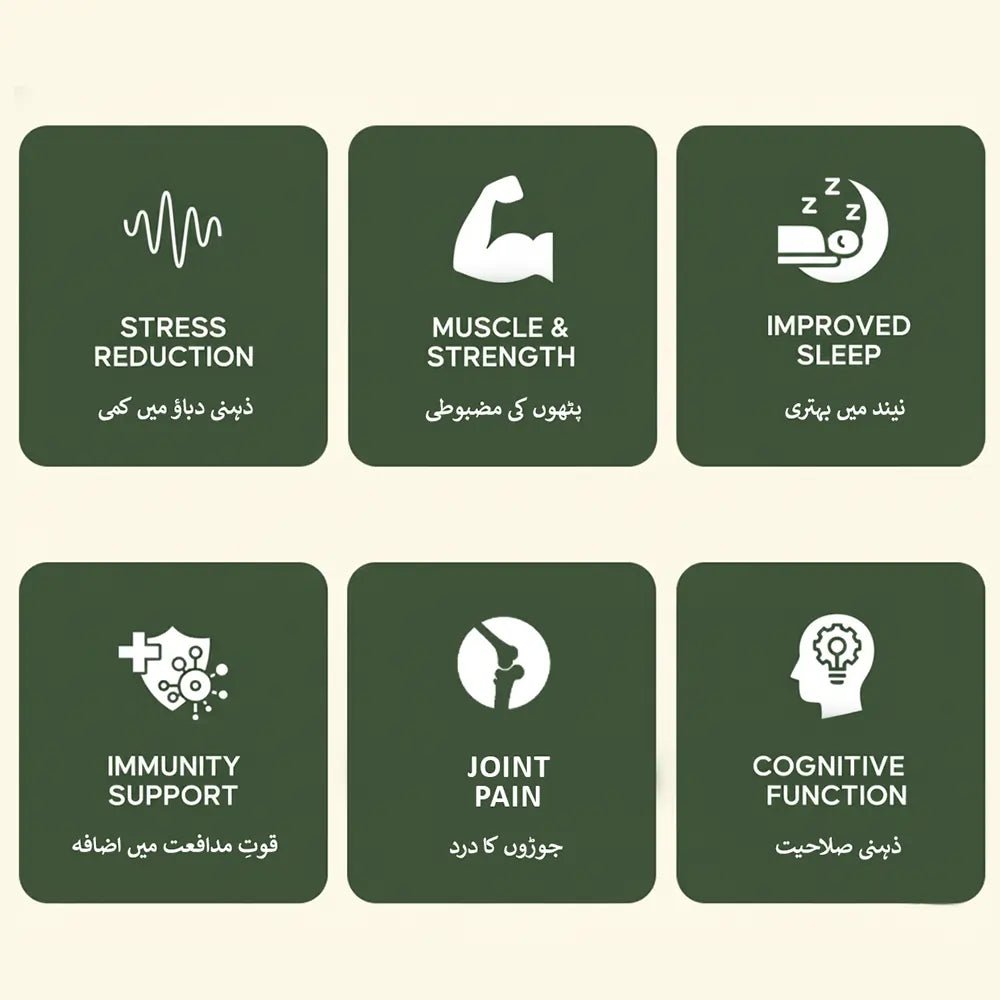 Ashwagandha Powder - اسگند نگوری پاؤڈر - Herbal Store