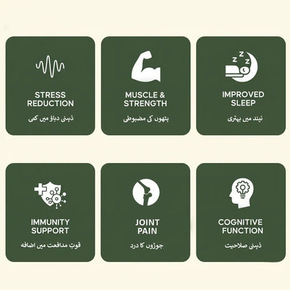 Ashwagandha Powder - اسگند نگوری پاؤڈر - Herbal Store