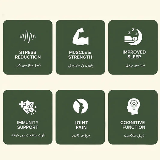 Ashwagandha Powder - اسگند نگوری پاؤڈر - Herbal Store